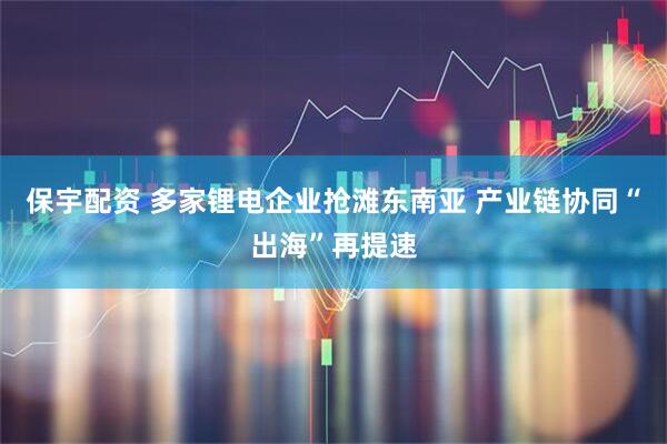 保宇配资 多家锂电企业抢滩东南亚 产业链协同“出海”再提速