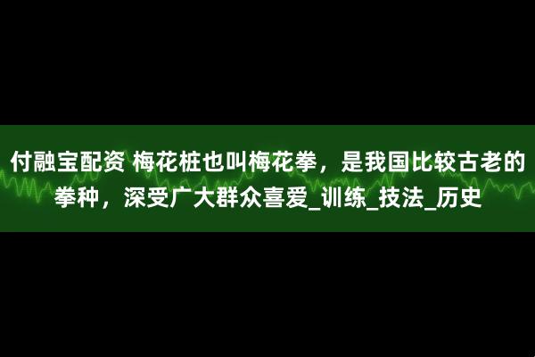 付融宝配资 梅花桩也叫梅花拳，是我国比较古老的拳种，深受广大群众喜爱_训练_技法_历史