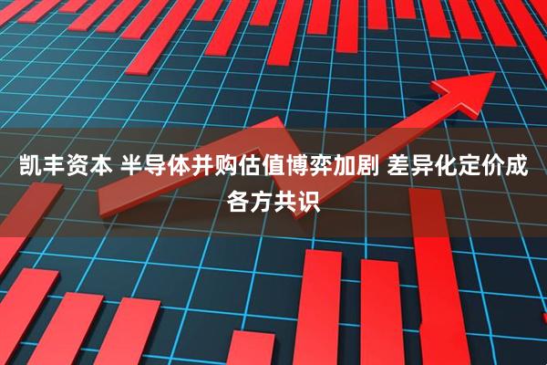 凯丰资本 半导体并购估值博弈加剧 差异化定价成各方共识